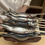 徳ㇵ本也 - 巨大鰯が凄い☆