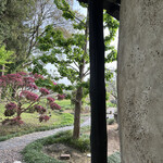 faro - 春です！　フキも群生してましたっ　byまみこまみこ
      