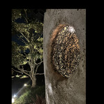 faro - 夜の窓の中には〜mosaic こーゆー感じにも感動しちゃうんです　 byまみこまみこ