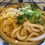 Marugame Seimen - 