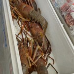 JAファーマーズマーケット とさのさと - 