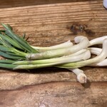 赤間茶屋 あ三五 - 