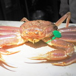 銀座おかもと - 松葉ガニ