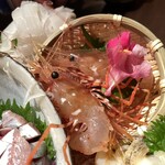 地酒と道産食材 一笑 - 活ボタンエビ