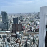 ホテルオークラレストラン新宿 中国料理 桃里 - 大ガード･歌舞伎町入口･ドーム･スカイツリー