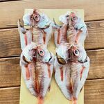 食堂 ナマケモノ - ノドグロ一夜干し 800円（公式アカウントから拝借）