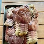 食堂 ナマケモノ - ウチワエビ 焼 or 蒸 800円（公式アカウントから拝借）