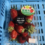 카루이자와 가덴팜 이치고엔 - 