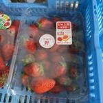 카루이자와 가덴팜 이치고엔 - 