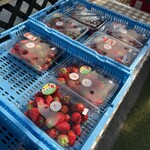 카루이자와 가덴팜 이치고엔 - 