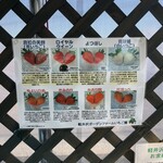 카루이자와 가덴팜 이치고엔 - 