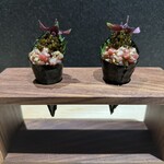 ESPRIT C. KEI GINZA - 