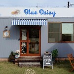 Blue Daisy - 