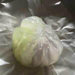 松華堂 - 緑樹陰