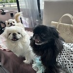 &ISLAND NAKANOSHIMA - 