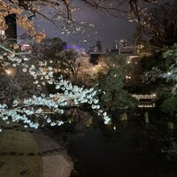 リストランテ 濱崎  - 