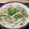 さか枝うどん 南新町店