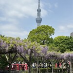 しののめヌードル - 