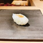 むら上 - アオリイカ