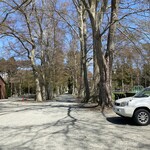 ナミキ - 多分、ポプラ並木だとは思いますが、長く続く道です。