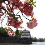 光村 - 重要文化財 西北隅櫓