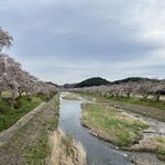 八幡屋 - 小野千本桜
