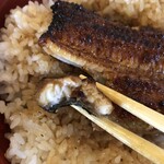 Unagi Katsupou Riyuu - ◎ランチサービス　うな丼@1,500