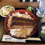 Unagi Katsupou Riyuu - ◎ランチサービス　うな丼@1,500