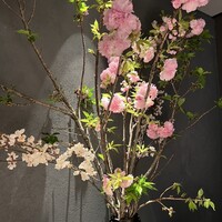 Restaurant Re: - 