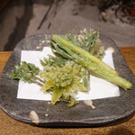 柳家 - 山菜天ぷら(行者にんにく、やまうど、こしあぶら、蕗のとう