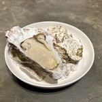 ドンブラボー - 