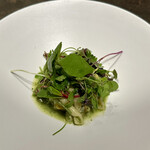 ドンブラボー - 