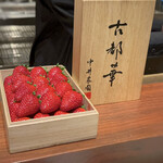 スガラボヴィー - 