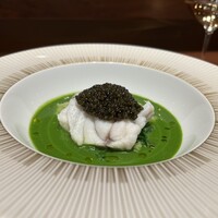 スガラボヴィー - 