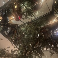 マディソン ニューヨーク キッチン - 