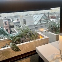 マーサーブランチ テラスハウス - 