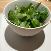 マンサルヴァ - 