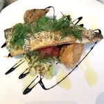 CIRCULO - ④鯖のパン粉焼き～春キャベツ・バルサミコソース～