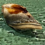 鮨 波づき - 穴子