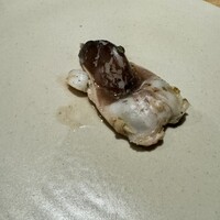 bb9 - 