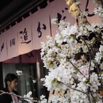 追分だんご本舗 - 店先の桜が良いですねえ