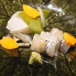 潮待ちホテル 櫓屋 - お造り　サヨリに、イカ