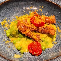 オッジ ダルマット 西麻布店 - 