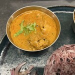 Curry Spice Gelateria KALPASI - 