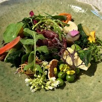 ヒカリヤ ニシ - 