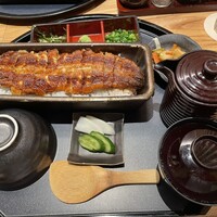 うなぎ四代目菊川 ミッドランドスクエア 名古屋本店 - 