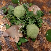 リストランテ アキタ 南青山 - 鰆(鳥取県赤崎港)/毛蟹(北海道噴火湾) ~菜の花のピュレ 春野菜~