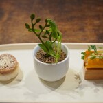 NOBI - 一口前菜　800円