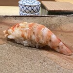 鮨　まつ本 - 車海老