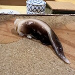 鮨　まつ本 - 生トリガイ